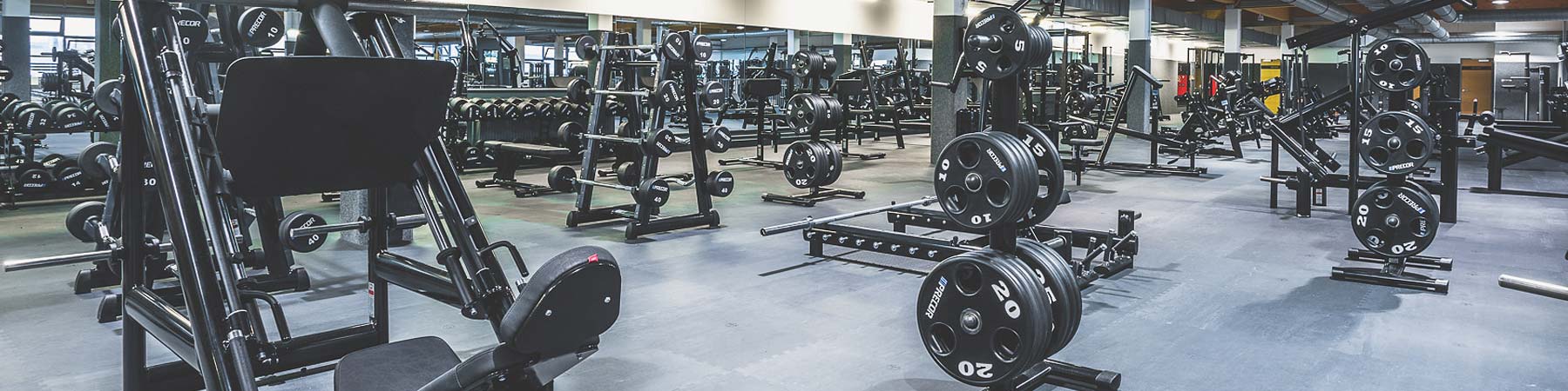Interior of WEIGHT TRAINING gym room with free weights and rubber gym flooring as a surface.
