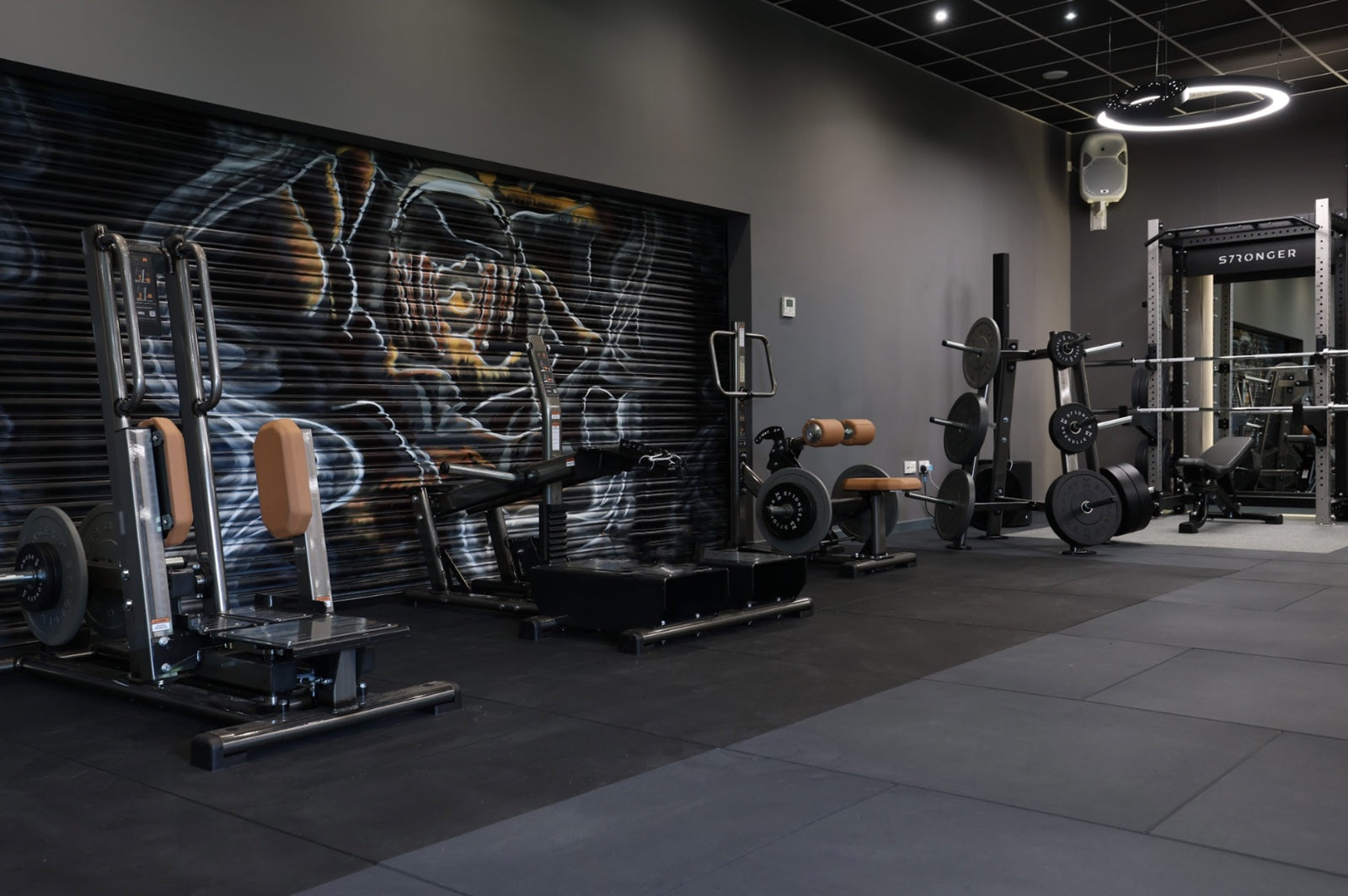 Strength Training - Gym Equipment  