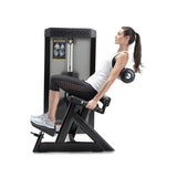 Freemotion Epic Selectorized -Back Extension, back extension exercises, gym equipment, buy gym equipment in London, buy gym equipment in UK, strenght equipment, exercises with back extension. 