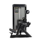 Freemotion Epic Selectorized -Back Extension, back extension exercises, gym equipment, buy gym equipment in London, buy gym equipment in UK, strenght equipment, exercises with back extension.
