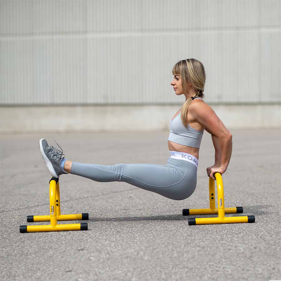 Flex Disc mobility, flex Disc stability, Flex Disc balance, Flex Disc Core-Strength. Lebert equalizer, lebert equalizer uk, Lebert Fitness., flexdisc routines, flexdisc workouts